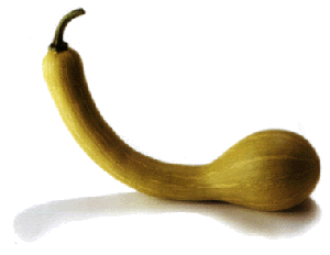 cougourdon vence